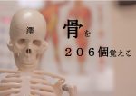 【セミナー情報】基礎から学ぶ機能解剖学 第9回～骨を206個覚える～