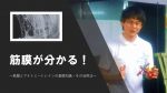 【セミナー情報】4月10日（火）筋膜が分かる！～筋膜とアナトミートレインの基礎知識・その活用法～